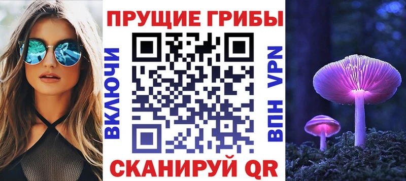 купить наркоту Тихорецк Псилоцибиновые грибы Psilocybe